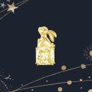 브로 인 제이 이미지