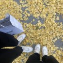 반포대로30길 37 이미지