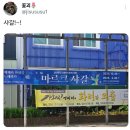 서이도서관 | 친구들이 다 블로그 쓰길래