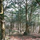 고흥영남수산 이미지