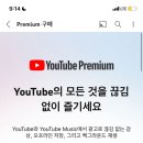 나 유튜브 프리미엄 가입되어있는데 왜 백그라운드 재생 안되지?? 이미지