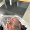 성진프라스틱 | [251221 DAY6 The Present KSPO DOME 클콘 막콘] 후기