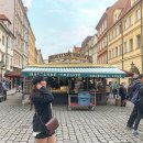 시계탑약국 | 프라하 가볼만한곳과 프라하 근교 여행지 추천