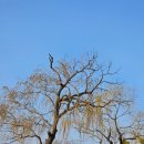 지에스(GS)25 강릉율곡점 | 강원도 강릉 여행 코스 추천 | 오죽헌 &amp; 경포호 자전거 대여 후기