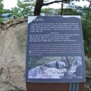 소요대 Daum카페