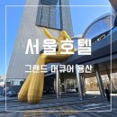 제일대중사우나 | 그랜드 머큐어 용산 반려견 동반 호텔 추천 조식 사우나 후기