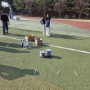 피크닉스 이미지