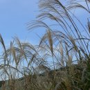 (주)양지약품 이미지