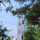 품;솔 이미지