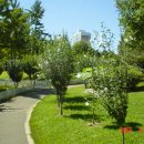 초우다방 이미지