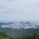 해운대구청 이미지
