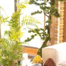 공간 담 이미지