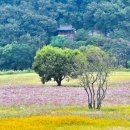 가족나들이 이미지