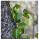 해남군-09 이미지