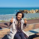 행복누림실버복지센터 | 울산노인주간보호/울산방문요양] 주간보호 방문요양 행복누림실버복지센터 ｜사회적응프로그램 봄꽃 나들이