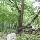 구수 Daum카페