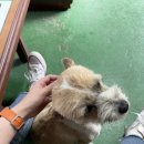 대일자동차정비 이미지