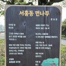 서홍동 서홍교회 북쪽 | [제주 올레] 하영올레 (3) 하영올레 3코스 : 소박한 제주도 서귀포 올레길 하영올레 추천