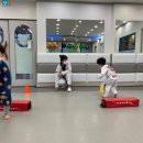 용인대 지노태권도 이미지