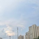 홍투어여행사 네이버블로그