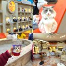 딜리셔스컵 | 루프캣미 홍대점 후기｜고양이카페에서 방탈출까지 즐기는 홍대 실내 데이트코스