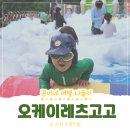오케이신발 | 화성 아이와 가볼 만한 곳 :) 단체방문 물놀이 캠프닉 오케이레츠고고 내돈내산 솔직 후기