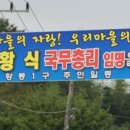 원황룡 이미지