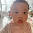 코미약국 | 돌아기 콧물약, 액티피드 코미시럽 부작용 및 실제 복용후기