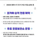 꽃가마 | 평화누리 피크닉 페스티벌 꽃가마 셔틀 후기