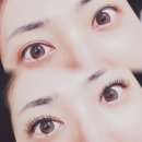 (주)드림나루 | 잠실 석촌호수 속눈썹 연장 뷰티해빛 후기, CC컬 첫 도전 화려한 눈매 완성