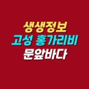 달인의레시피 | 생생정보 고성 홍가리비 수확의 달인 | 문앞바다 택배 구매 주문 후기 정보