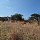 마망펜션 이미지