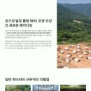 재식농장 | 매실나무 재배, 황금빛 매실 수확을 위한 핵심 노하우! 토경마스터솔루션