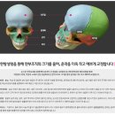 순수한의원 이미지