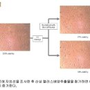 다미셀코스메틱