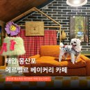 pet41거2047 | 태안 메르벨르 카페 애견동반 펫존 있는 베이커리 후기