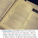 라쉬 이미지