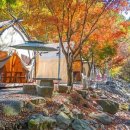 코코비발디 캠핑장 이미지