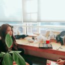 오늘더사랑해 Daum카페