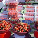 정산시장 이미지