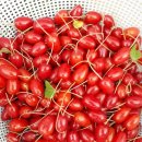 유니콘농장 이미지