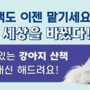 포펫