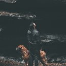 행복한 펫 살롱 이미지