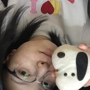 디딜리