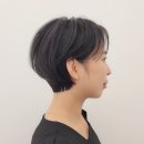 봉선동미용실다음 이미지