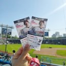 원정(5-2) | [야구/서울잠실야구장] 3루 블루석 217블록 5열 원정 직관 후기