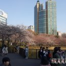 새마을분식 이미지