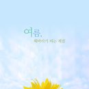 팀터틀랫 양산범어점 이미지