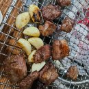 날 데려가주 개 이미지