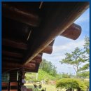 아르보르펜션 이미지